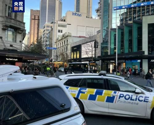 国产亚洲精品第一综合另类