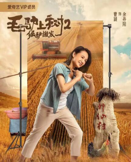暗算的女人