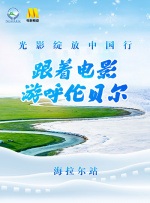 亚洲电影在线
