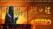 亚洲精品456在线观看
