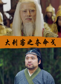99视频一区二区三区