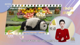 福利午夜视频
